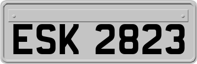 ESK2823