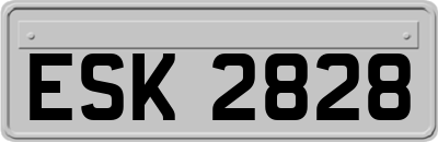 ESK2828