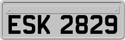ESK2829