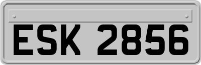 ESK2856