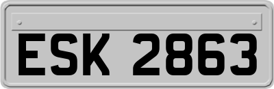 ESK2863