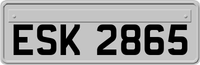 ESK2865