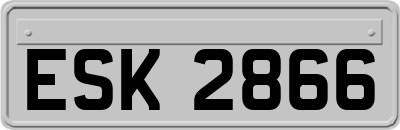 ESK2866