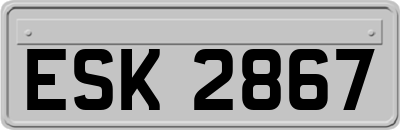 ESK2867