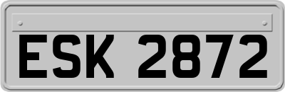 ESK2872