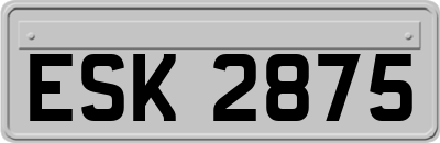 ESK2875
