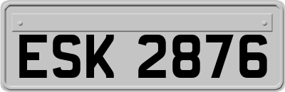 ESK2876