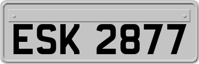 ESK2877