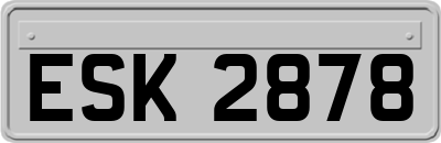 ESK2878