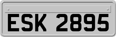 ESK2895