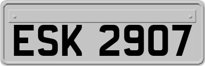 ESK2907
