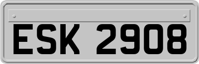 ESK2908