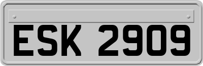 ESK2909