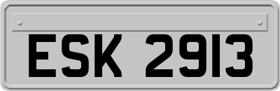 ESK2913