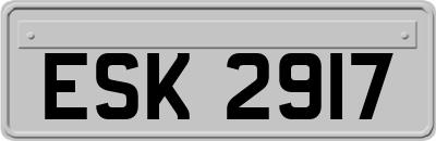 ESK2917