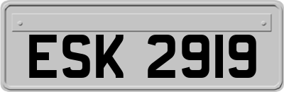 ESK2919