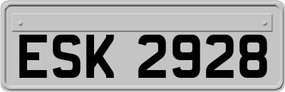 ESK2928