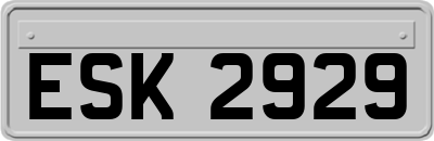 ESK2929