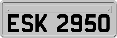 ESK2950
