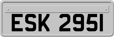 ESK2951