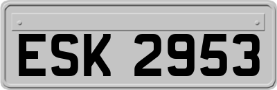 ESK2953