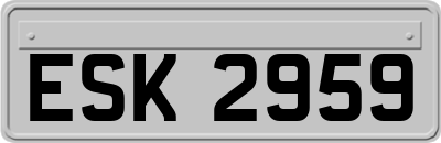 ESK2959