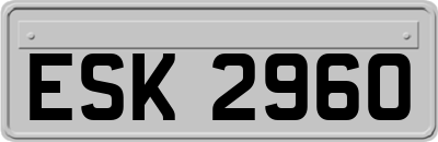 ESK2960