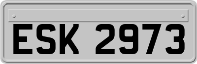 ESK2973