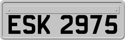 ESK2975