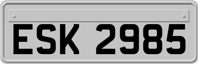 ESK2985