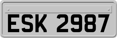 ESK2987