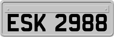 ESK2988