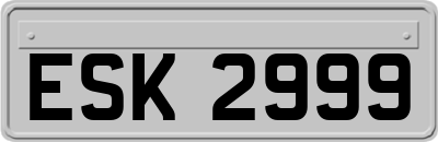 ESK2999
