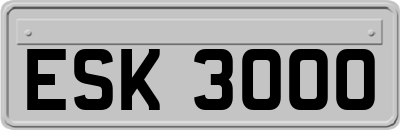 ESK3000