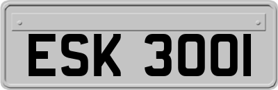 ESK3001