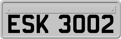 ESK3002