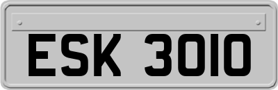 ESK3010