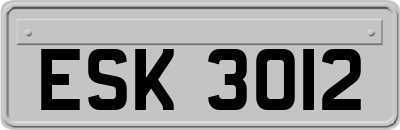 ESK3012