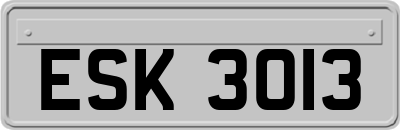 ESK3013