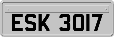 ESK3017