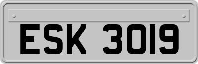 ESK3019