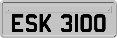 ESK3100