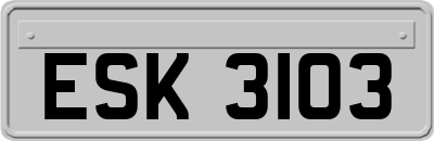 ESK3103