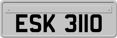 ESK3110