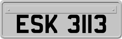 ESK3113