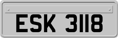 ESK3118