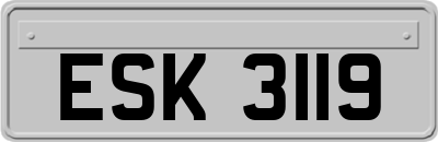 ESK3119