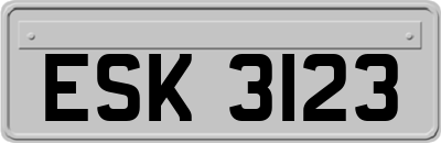 ESK3123