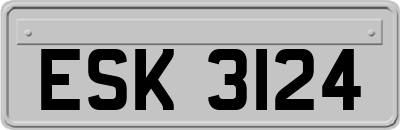 ESK3124