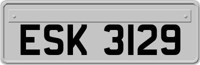 ESK3129